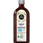 LEROS SIRUP VIAJES RESPIRATORIOS 1×250 ml, complemento alimenticio LEROS SIRUP VIAJES RESPIRATORIOS 1×250 ml, complemento alimenticio