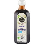 LEROS SIRUP VIAJES RESPIRATORIOS 1×250 ml, complemento alimenticio LEROS SIRUP VIAJES RESPIRATORIOS 1×250 ml, complemento alimenticio