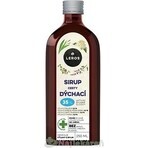 LEROS SIRUP VIAJES RESPIRATORIOS 1×250 ml, complemento alimenticio LEROS SIRUP VIAJES RESPIRATORIOS 1×250 ml, complemento alimenticio
