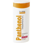 Dr. Müller SHAMPOO AL PANTENOLO PER CAPELLI SFIBRATI 1×250 ml, shampoo Dr. Müller SHAMPOO AL PANTENOLO PER CAPELLI SFIBRATI 1×250 ml, shampoo