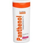 Dr. Müller SHAMPOO AL PANTENOLO PER CAPELLI SFIBRATI 1×250 ml, shampoo Dr. Müller SHAMPOO AL PANTENOLO PER CAPELLI SFIBRATI 1×250 ml, shampoo