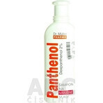 Dr. Müller SHAMPOO AL PANTENOLO PER CAPELLI SFIBRATI 1×250 ml, shampoo Dr. Müller SHAMPOO AL PANTENOLO PER CAPELLI SFIBRATI 1×250 ml, shampoo