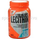 Scitec Nutrition Lecithin 1×100 cps, dietary supplement Scitec Nutrition Lecithin 1×100 cps, dietary supplement