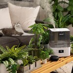 Levoit Classic 300S, air humidifier, gray, 1 pc Levoit Classic 300S, air humidifier, gray, 1 pc