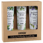 Anwen set, low porosity hair conditioners, 3 x 100 ml Anwen set, low porosity hair conditioners, 3 x 100 ml