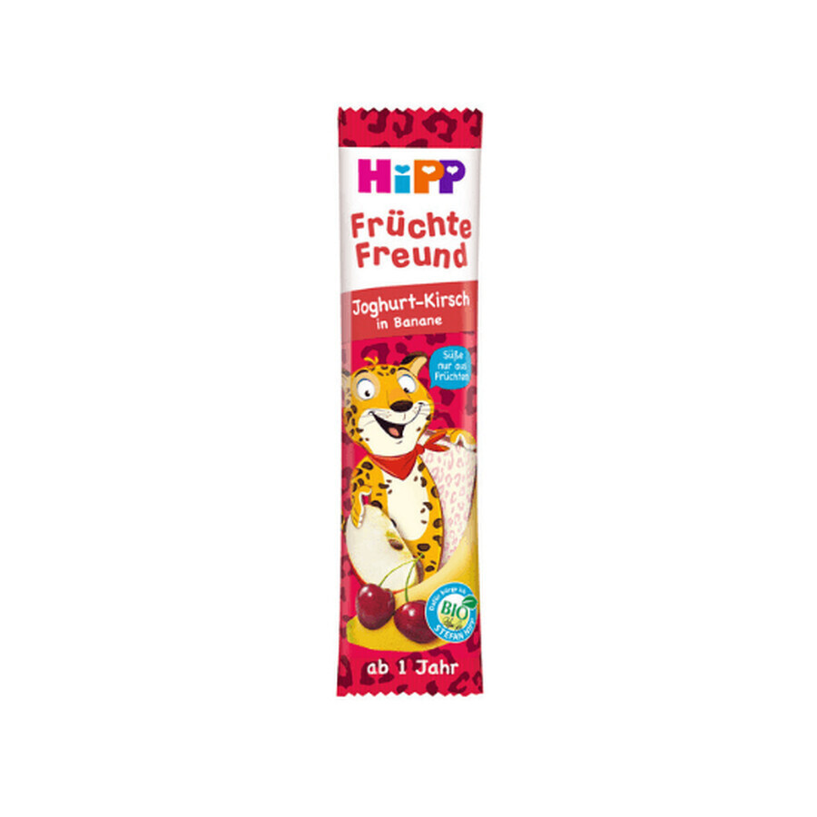 Fruit Friend yogurt, cherry and banana bar, 23 gr, Hipp