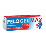 Felogel Max 23,2 mg/g, gel, 120 g Felogel Max 23,2 mg/g, gel, 120 g