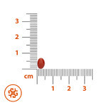 SEMA Lab Beta-carotene + vitamin E, 60 softgels SEMA Lab Beta-carotene + vitamin E, 60 softgels