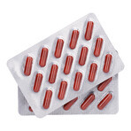SEMA Lab Iron + Vitamin C, 60 hard capsules SEMA Lab Iron + Vitamin C, 60 hard capsules