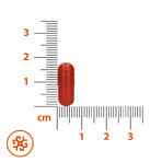 SEMA Lab Iron + Vitamin C, 60 hard capsules SEMA Lab Iron + Vitamin C, 60 hard capsules