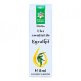 Ulei esential de eucalipt, 5 ml, Steaua Divina