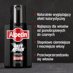 Alpecin Grey Attack Caffeine & Colour, coloring shampoo 200 ml Alpecin Grey Attack Caffeine & Colour, coloring shampoo 200 ml