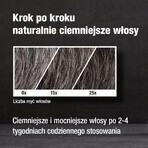 Alpecin Grey Attack Caffeine & Colour, coloring shampoo 200 ml Alpecin Grey Attack Caffeine & Colour, coloring shampoo 200 ml