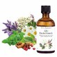 Saint Bernhard 101-Kr&#228;uter &#228;therisches &#214;l 100 ml