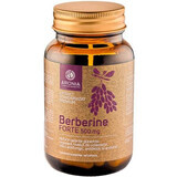 Berberina Forte à 500 mg, 60 capsule, Aronia Charlottenburg