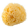 Natural bath sponge, Rotho BabyDesign