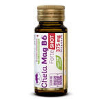 Olimp Chela-Mag B6 Forte Shot, ampoule, cherry flavor, 25 ml Olimp Chela-Mag B6 Forte Shot, ampoule, cherry flavor, 25 ml