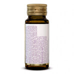 Olimp Chela-Mag B6 Forte Shot, ampoule, cherry flavor, 25 ml Olimp Chela-Mag B6 Forte Shot, ampoule, cherry flavor, 25 ml