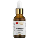 Hypochondriac 10:1 extract 30 ml Yango
