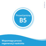 Bepanthen Derm Cream, specialized body cream, dry skin, prone to irritation, from day 1, 30 g Bepanthen Derm Cream, specialized body cream, dry skin, prone to irritation, from day 1, 30 g