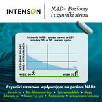 Intenson NR, nicotinamide riboside chloride, 30 capsules Intenson NR, nicotinamide riboside chloride, 30 capsules