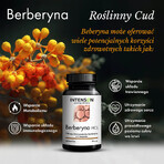 Intenson Berberine, berberine hydrochloride, 60 capsules Intenson Berberine, berberine hydrochloride, 60 capsules