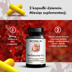 Intenson Berberine, berberine hydrochloride, 60 capsules Intenson Berberine, berberine hydrochloride, 60 capsules