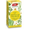 Gastric Protection D47, 30 capsules, Fares