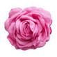 Ecarla Fermaglio decorativo a forma di rosa Fucsia