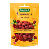 Bakalland Merișoare uscate și îndulcite 45g
