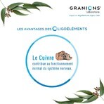 Granions Naso-gola 10 jellies + 10 tablets Granions Naso-gola 10 jellies + 10 tablets