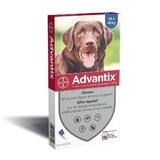Advantix Pipete pentru câini de talie mare 25-40 kg, 6 pipete x 4,0 ml, Bayer