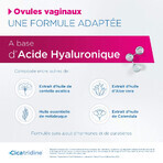 Cicatridine Vaginal Ovules Healing and Intimate Dryness x10 Cicatridine Vaginal Ovules Healing and Intimate Dryness x10
