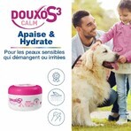 Ceva Douxo S3 Calm cleansing and soothing pads 30 pieces Ceva Douxo S3 Calm cleansing and soothing pads 30 pieces