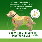 Ceva Yoos Necklace Small Dog Size <10 kg Joint Wellness x1 Ceva Yoos Necklace Small Dog Size <10 kg Joint Wellness x1