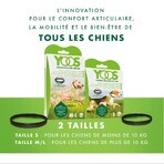 Ceva Yoos Necklace Small Dog Size <10 kg Joint Wellness x1 Ceva Yoos Necklace Small Dog Size <10 kg Joint Wellness x1