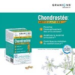 Granions Articulations 90 Chondrosteo+ Tabletten