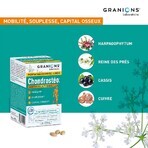 Granions Articulations 90 Chondrosteo+ Tabletten