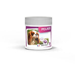 Ceva Pet Phos Coat Hund 50 Tabletten Ceva Pet Phos Coat Hund 50 Tabletten