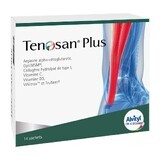 Alvityl Tenosan Plus 14 bags