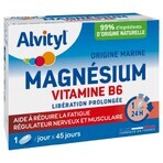 Alvityl Magnesium and Vitamin B6 45 Tablets Alvityl Magnesium and Vitamin B6 45 Tablets
