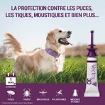 Ceva Vectra Spot-on Solution for Dog >25-40kg 3 pipettes Ceva Vectra Spot-on Solution for Dog >25-40kg 3 pipettes