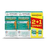 Granions Chondrostéo Chondrosteo Articulations 3x90 Tablete