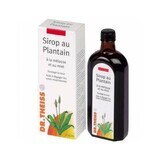 Dr. Theiss Naturwaren DAILY PLANT SYRUP 250ml