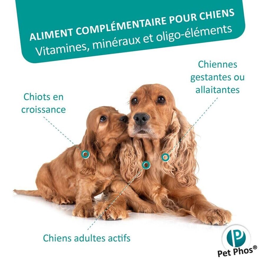 Ceva Pet Phos Sales Growth/P=1.3 Puppy 100 tablets