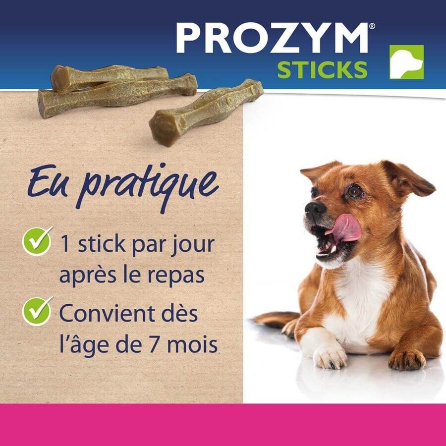 Ceva Prozym Sticks à mâcher RF2 pour l'hygiène bucco-dentaire Sticks pour animaux de 0 à 25kg x12