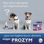 Ceva Prozym Sticks à mâcher RF2 pour l'hygiène bucco-dentaire Sticks pour animaux de 0 à 25kg x12