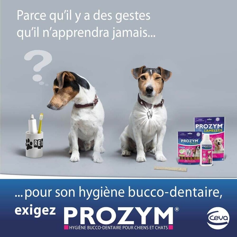 Ceva Prozym Sticks à mâcher RF2 pour l'hygiène bucco-dentaire Sticks pour animaux de 0 à 25kg x12
