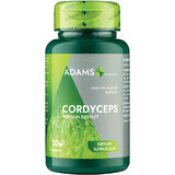 Cordyceps, 300 mg, 30 capsules, Adams