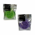 Body Sponge Circular Sponge 18 x 4 x 20 cm (36 Units) Body Sponge Circular Sponge 18 x 4 x 20 cm (36 Units)